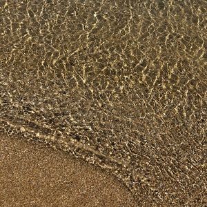 Meet your Posher, Irene